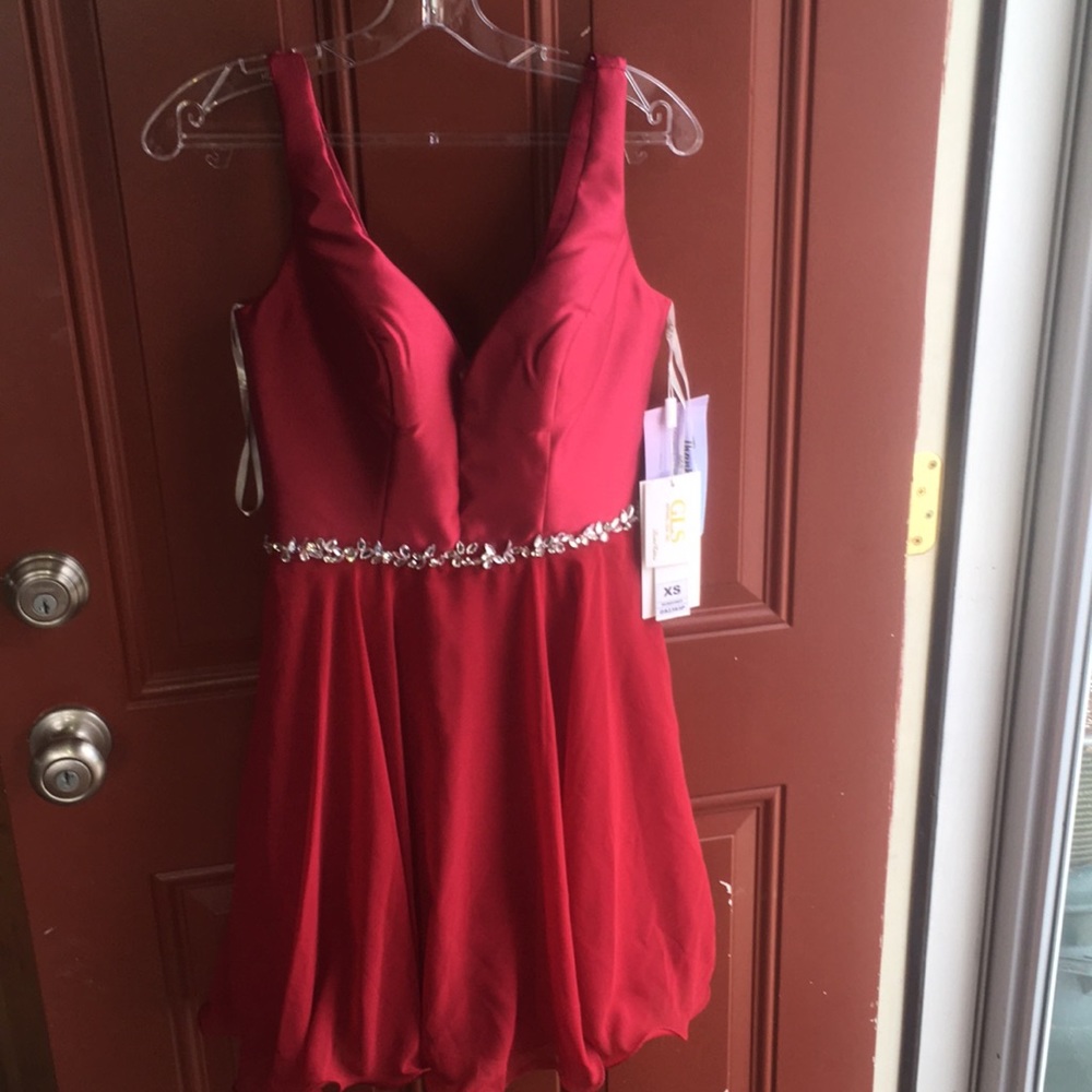 NEW LIMITED EDITION HOMECOMING DRESS